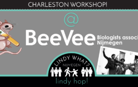 Charleston workshop for BeeVee